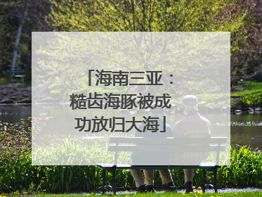 海南三亚：糙齿海豚被成功放归大海
