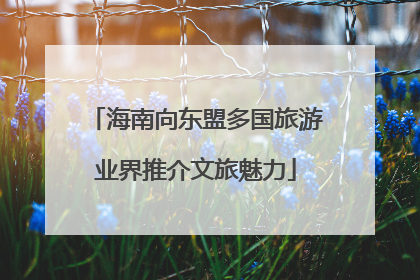 海南向东盟多国旅游业界推介文旅魅力