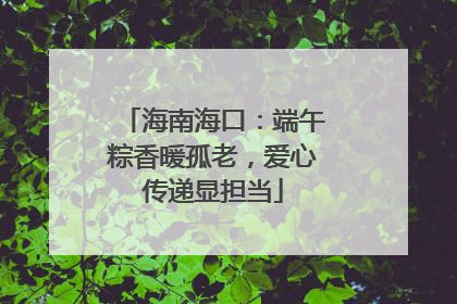 海南海口：端午粽香暖孤老，爱心传递显担当