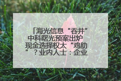 海光信息“吞并”中科曙光预案出炉 现金选择权太“鸡肋”？业内人士：企业不想大量现金流出