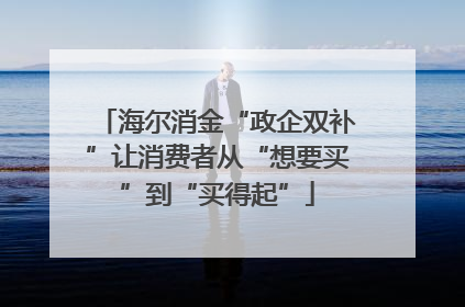 海尔消金“政企双补”让消费者从“想要买”到“买得起”