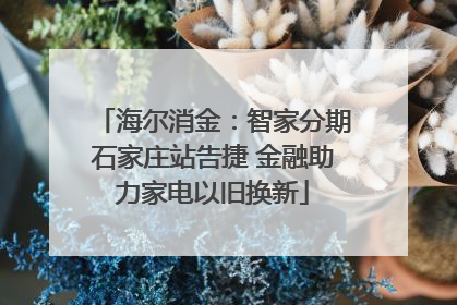 海尔消金：智家分期石家庄站告捷 金融助力家电以旧换新