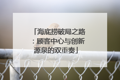 海底捞破局之路：顾客中心与创新源泉的双重奏