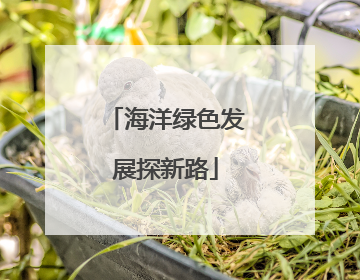 海洋绿色发展探新路