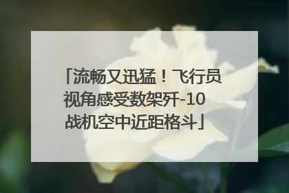 流畅又迅猛！飞行员视角感受数架歼-10战机空中近距格斗