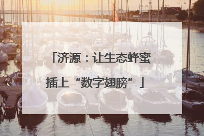 济源：让生态蜂蜜插上“数字翅膀”