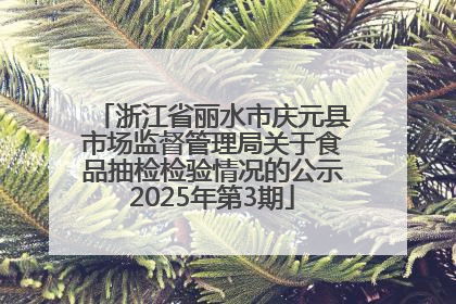 浙江省丽水市庆元县市场监督管理局关于食品抽检检验情况的公示2025年第3期