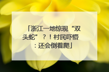 浙江一地惊现“双头蛇”？！村民吓懵：还会倒着爬