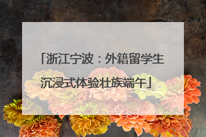 浙江宁波：外籍留学生沉浸式体验壮族端午