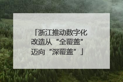 浙江推动数字化改造从“全覆盖”迈向“深覆盖”