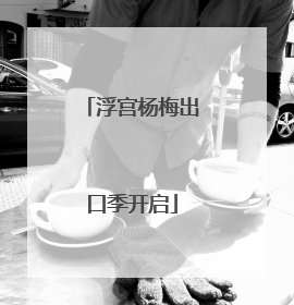 浮宫杨梅出口季开启