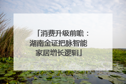 消费升级前瞻：湖南金证把脉智能家居增长逻辑