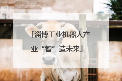 淄博工业机器人产业“智”造未来