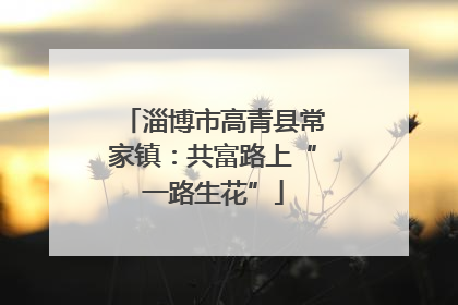淄博市高青县常家镇：共富路上“一路生花”