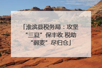 淮滨县税务局：攻坚“三夏”保丰收 税助“弱麦”尽归仓