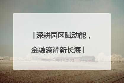 深耕园区赋动能，金融滴灌新长海