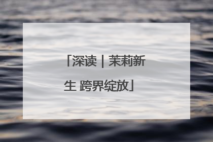 深读｜茉莉新生 跨界绽放