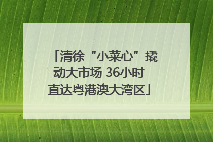 清徐“小菜心”撬动大市场 36小时直达粤港澳大湾区