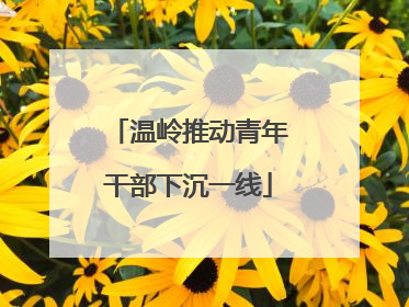 温岭推动青年干部下沉一线