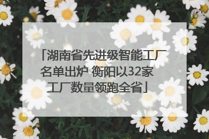 湖南省先进级智能工厂名单出炉 衡阳以32家工厂数量领跑全省