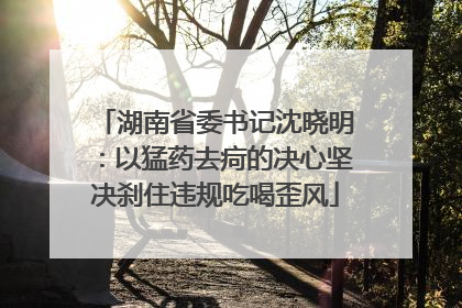 湖南省委书记沈晓明：以猛药去疴的决心坚决刹住违规吃喝歪风