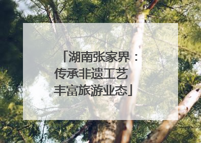 湖南张家界：传承非遗工艺 丰富旅游业态