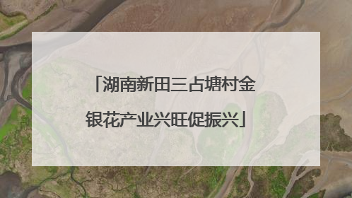 湖南新田三占塘村金银花产业兴旺促振兴