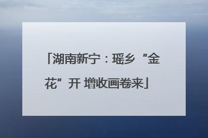 湖南新宁：瑶乡“金花”开 增收画卷来