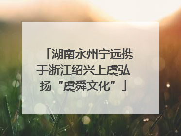 湖南永州宁远携手浙江绍兴上虞弘扬“虞舜文化”