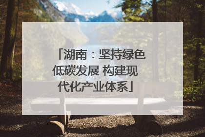 湖南：坚持绿色低碳发展 构建现代化产业体系
