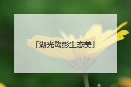 湖光鹭影生态美