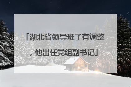 湖北省领导班子有调整，他出任党组副书记