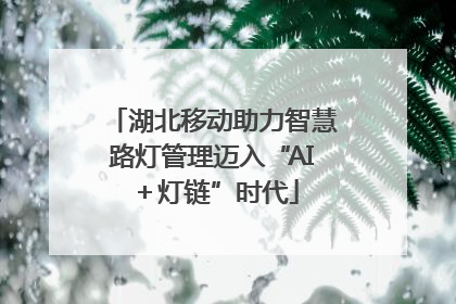 湖北移动助力智慧路灯管理迈入“AI＋灯链”时代