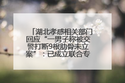 湖北孝感相关部门回应“一男子称被交警打断9根肋骨未立案”：已成立联合专班开展工作