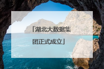 湖北大数据集团正式成立