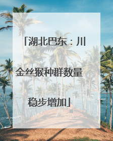 湖北巴东：川金丝猴种群数量稳步增加
