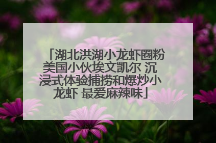 湖北洪湖小龙虾圈粉美国小伙埃文凯尔 沉浸式体验捕捞和爆炒小龙虾 最爱麻辣味