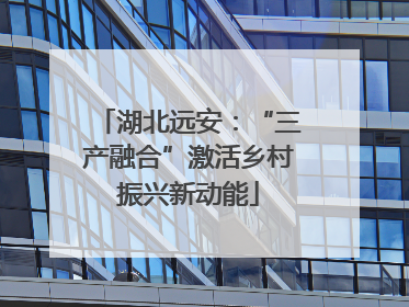 湖北远安：“三产融合”激活乡村振兴新动能
