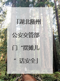 湖北随州公安交管部门“摆摊儿”话安全