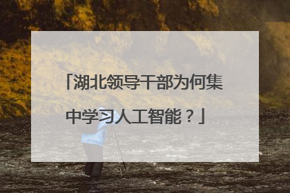 湖北领导干部为何集中学习人工智能？