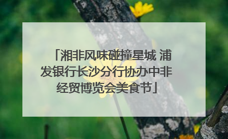 湘非风味碰撞星城 浦发银行长沙分行协办中非经贸博览会美食节