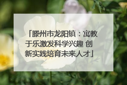 滕州市龙阳镇：寓教于乐激发科学兴趣 创新实践培育未来人才