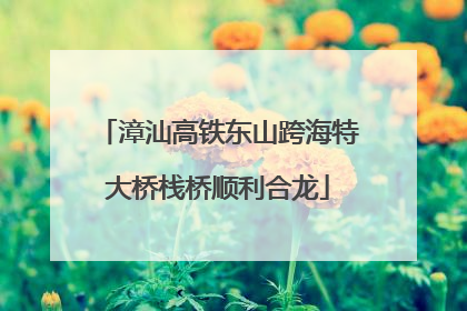 漳汕高铁东山跨海特大桥栈桥顺利合龙