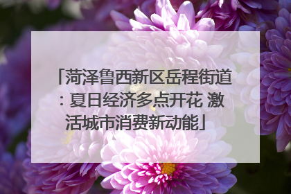 菏泽鲁西新区岳程街道：夏日经济多点开花 激活城市消费新动能