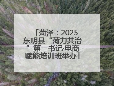 菏泽：2025东明县“菏力共治”第一书记·电商赋能培训班举办