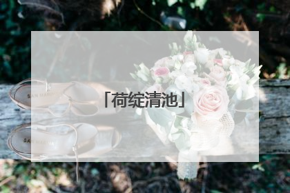 荷绽清池