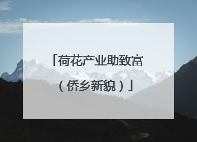 荷花产业助致富（侨乡新貌）