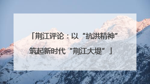 荆江评论：以“抗洪精神”筑起新时代“荆江大堤”