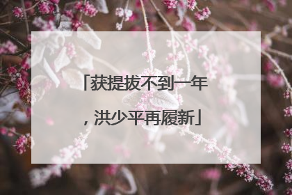 获提拔不到一年，洪少平再履新