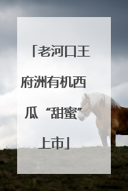 老河口王府洲有机西瓜“甜蜜”上市